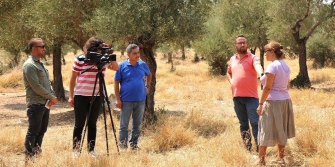 ADÜ’nün zeytinleri medyaya taşınıyor