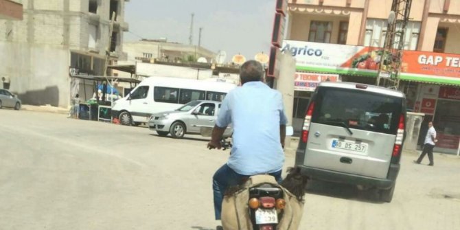 İki çocuğu motosikletin heybesinde götürdü
