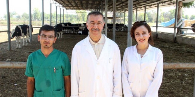 Türk bilim adamları Kurban Bayramında kesilen hayvanın acı çekip çekmediğini araştırdı