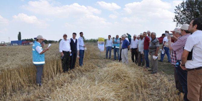 Emet Örencik köyünde ‘Tarla Günü’