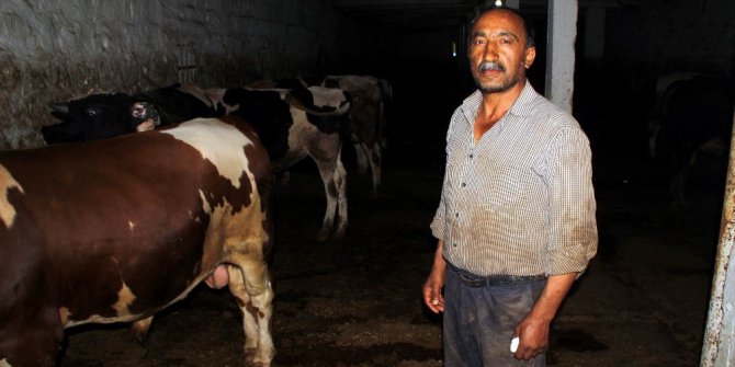 Araba fiyatına kurbanlık