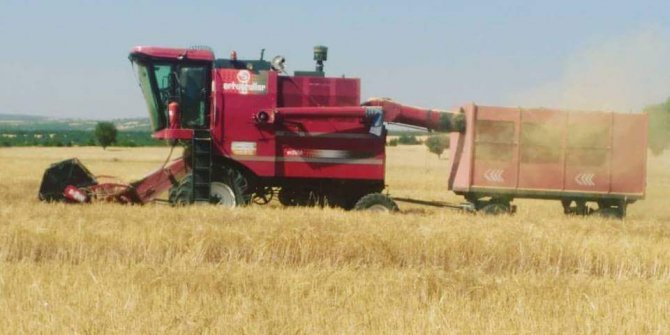 Altıntaş’ta arpa ve buğday hasadı üreticinin yüzünü güldürdü