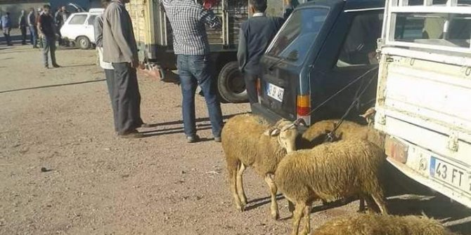 Kurban pazarları açıldı, fiyatlar arttı