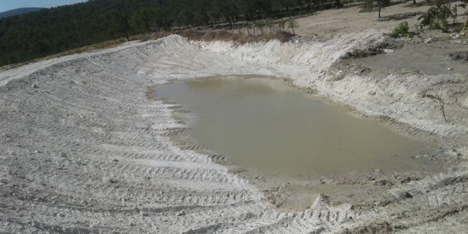 Hayvan üreticilerini sevindiren çalışma