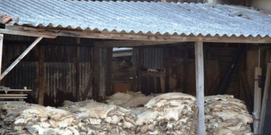 Thk Biga’da 6 Bin Kurban Derisi Topladı