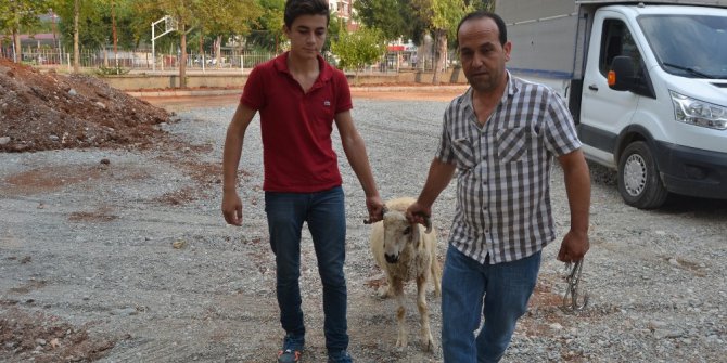 Kozan’da Kurban Kesim Kursu açıldı