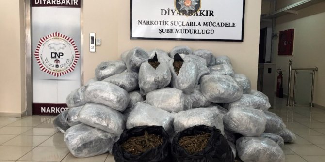 Diyarbakır’da 1 ton 151 kilo esrar ele geçirildi