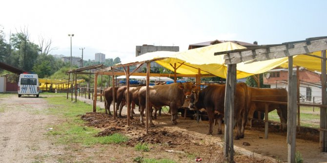 Kurbanlıklar alıcı bekliyor