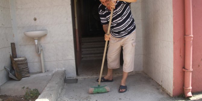 Tırtılların istila ettiği sokakta 4 gündür korku ile yaşıyorlar