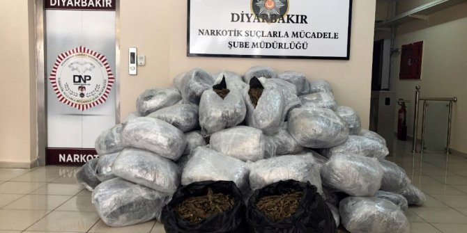 (Düzeltme) Diyarbakır’da 442 kilo 130 gram esrar ele geçirildi