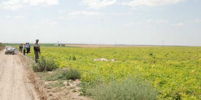 Baba ve iki oğlu tarla yüzünden öldürüldü