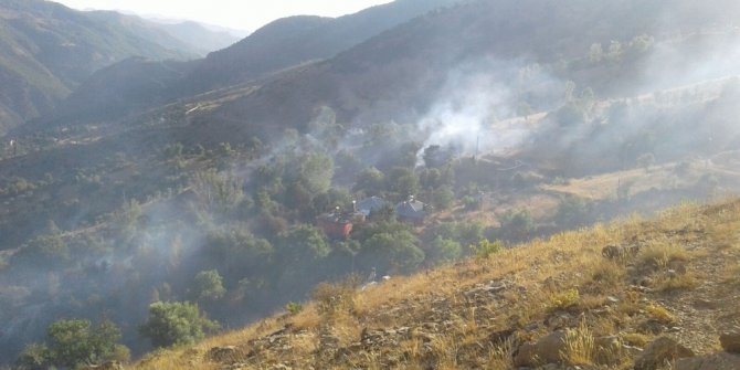 Tunceli’de bir ev ve meyve ağaçları yandı