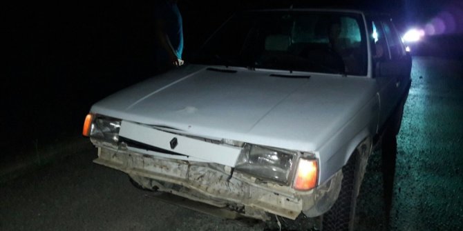 Otomobil domuza çarptı