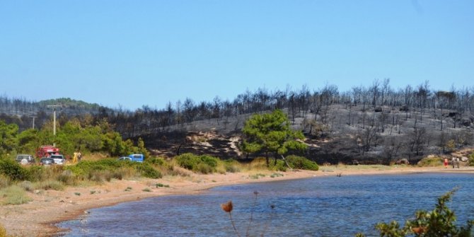Ayvalık’ta aynı ormanda bir yangın daha çıktı