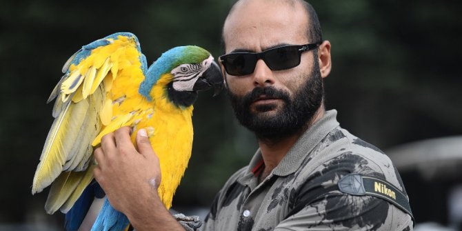 Papağanla fotoğraf çekilmek için sıraya girdiler