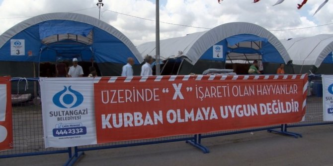 Sultangazi’de kurbanlıklar alıcılarını bekliyor