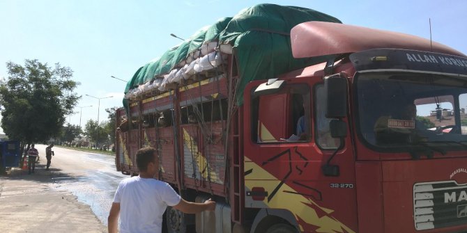 Sorgun’da kurbanlık hayvan sevkiyatlarına sıkı denetim