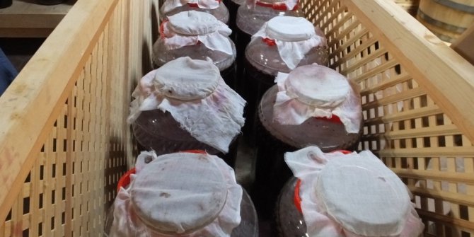 Gömeçli üreticiye uluslararası sirke ödülü