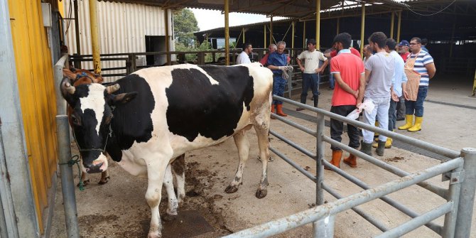 Vatandaşlar kurban kesmeyi KO-MEK’te öğreniyorlar