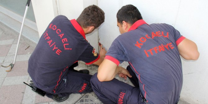 Sıkışan kediyi telefondan çıkarttıkları kedi sesiyle kurtarmaya çalıştılar