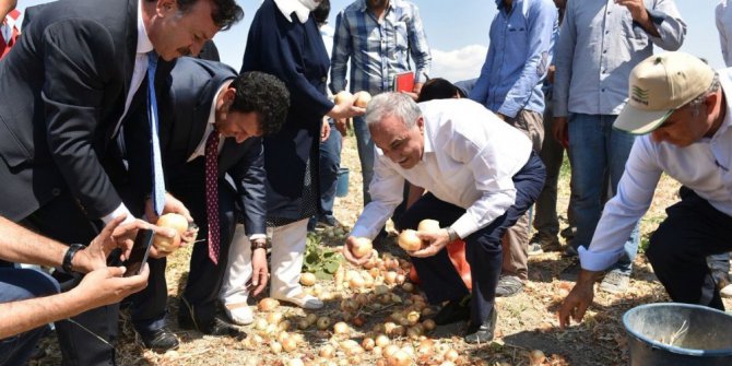 Bakan Fakıbaba, tarım işçileriyle birlikte soğan topladı