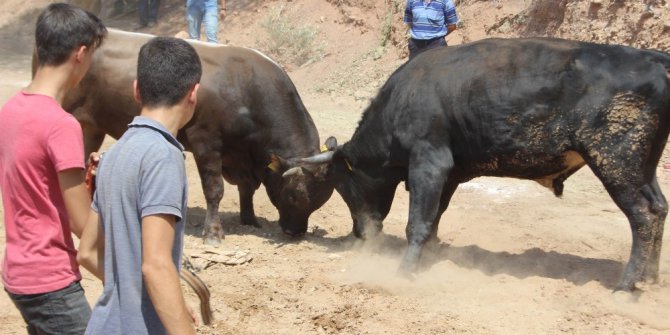 Bu gelenek Dede Korkut’tan bu yana devem ediyor