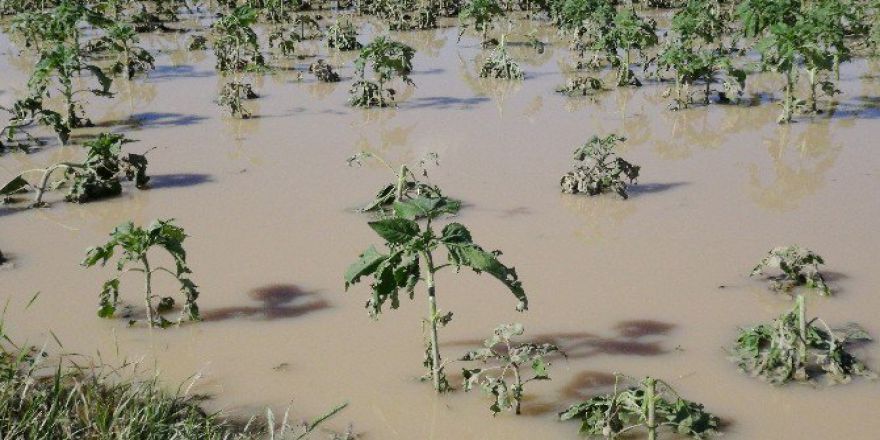 Zarar Gören Üreticilere Borç Ertelemesi