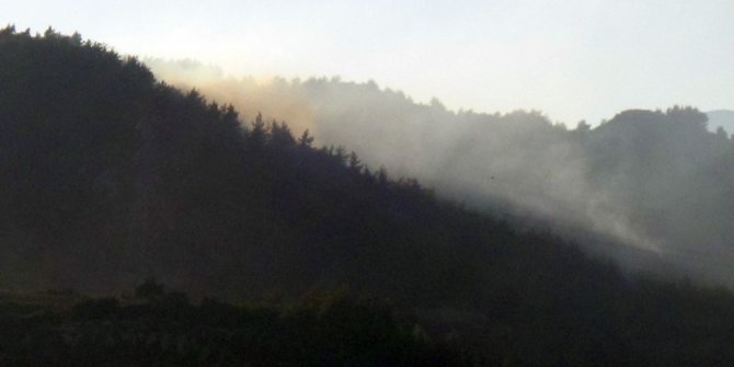 Piknik ateşi orman yangınına sebep oldu