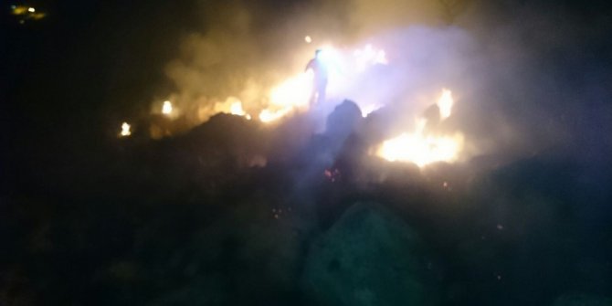 Malatya’da orman yangını