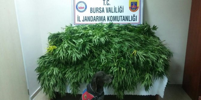 Jandarmadan suç makinesine baskın