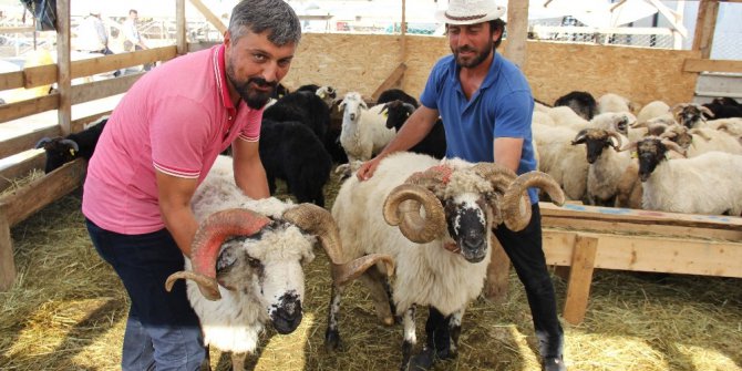 Rıza Baba ve Mesut Komiser alıcılarını bekliyor