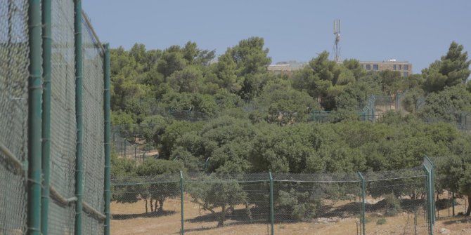 Suriye’den Türkiye’ye getirilen hayvanlar Ürdün’e nakledildi