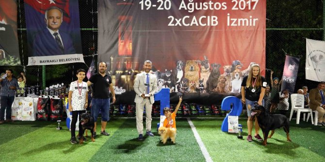 Bayraklı’da köpek ırkları yarıştı