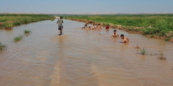 Şanlıurfa’da çocuklar asfaltta yüzüyor