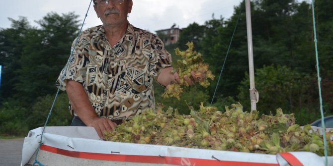 Fındık üreticileri yollarda tezgah açtı