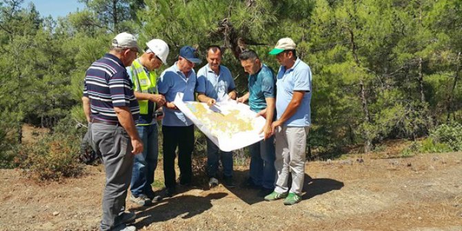 Ormanlarda gençleştirme çalışmaları başladı