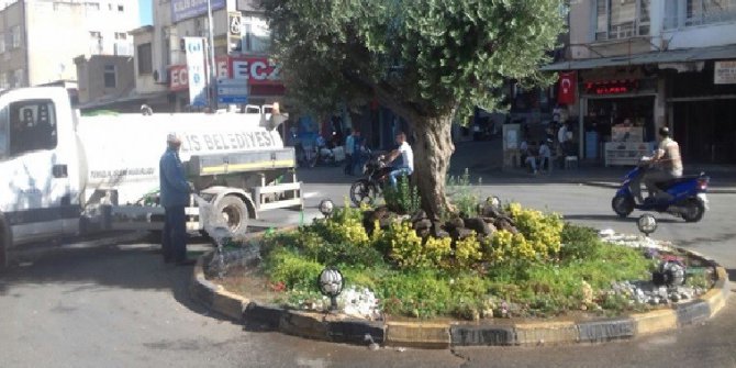 Parklar ve refüjlerdeki ağaç ile çiçekler sulanıyor