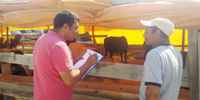 Kurbanlıklar denetimden geçti