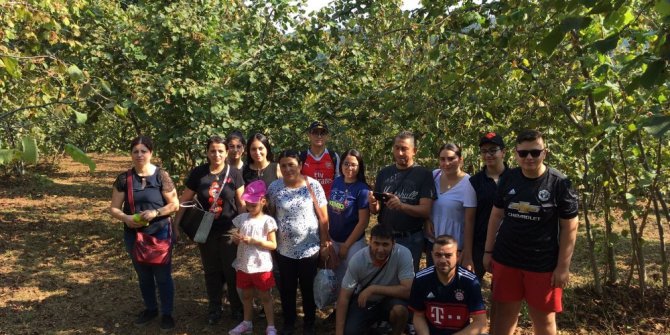 Eskişehirliler fındık topladı