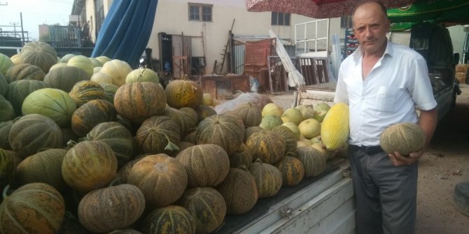 Hisarcık’ta yerli kavun tezgaha indi