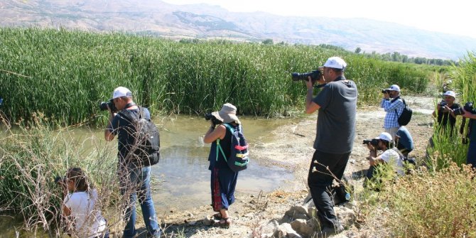 Elazığ’da fotosafari etkinliği