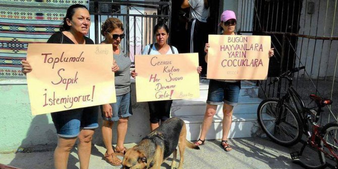 Çirkin iddia hayvanseverleri ayaklandırdı