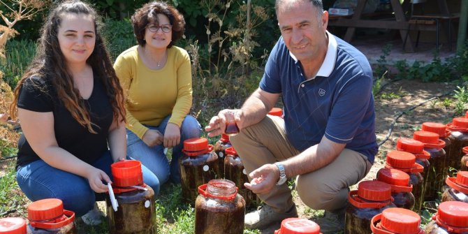 Türkiye’nin ilk Tıbbi Bitkiler Araştırma ve Uygulama Çiftliği, Selçuk’ta