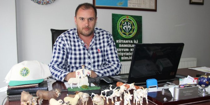 Kurban keseceklere’ küçükbaş hayvan’ tavsiyesi