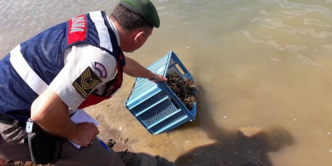 Jandarmadan kaçak kerevit avcılığı yapanlara suçüstü