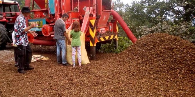 Anız ve fındık kabuklarını yakmayın uyarısı