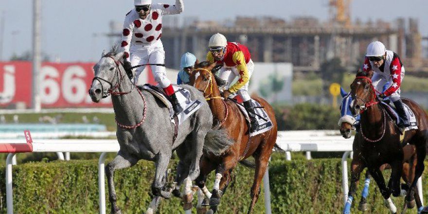 Ankara Koşusu’nda Gözler Graystorm’da