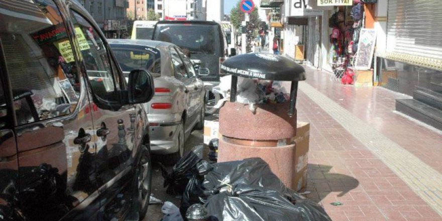 Van’da Çöpler Toplanmadı