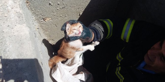 Rögara giren kediyi itfaiye kurtardı