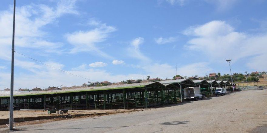 Bayramda En Çok Küçükbaş Kurbanlıklar İlgi Gördü